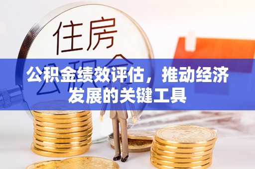 滴道公积金绩效评估，推动经济发展的关键工具