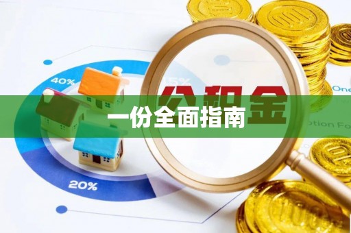 滴道一份全面指南