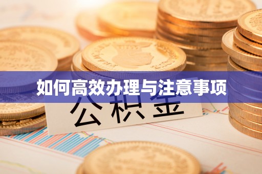 滴道如何高效办理与注意事项