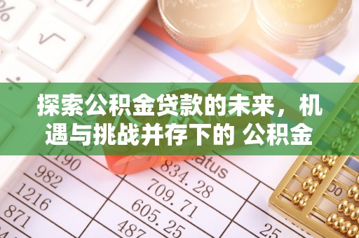 滴道探索公积金贷款的未来，机遇与挑战并存下的 公积金贷款风险防控