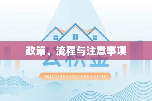 滴道政策、流程与注意事项
