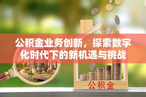 滴道公积金业务创新，探索数字化时代下的新机遇与挑战