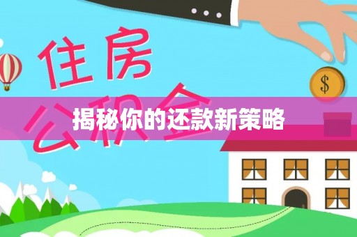 滴道揭秘你的还款新策略