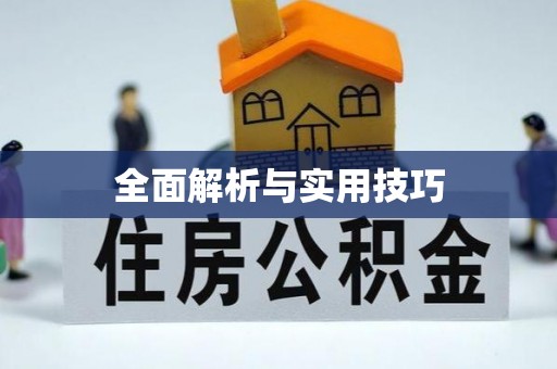 滴道全面解析与实用技巧
