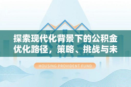 滴道探索现代化背景下的公积金优化路径，策略、挑战与未来展望
