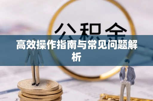 滴道高效操作指南与常见问题解析