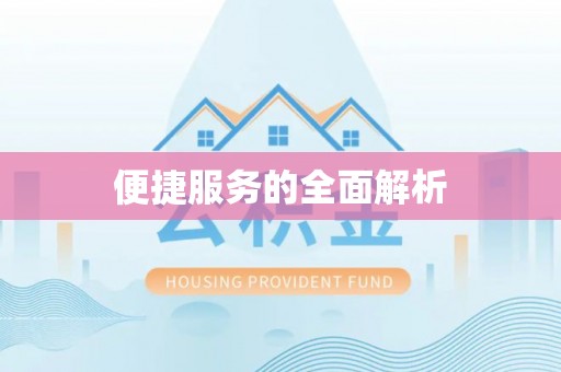 滴道便捷服务的全面解析