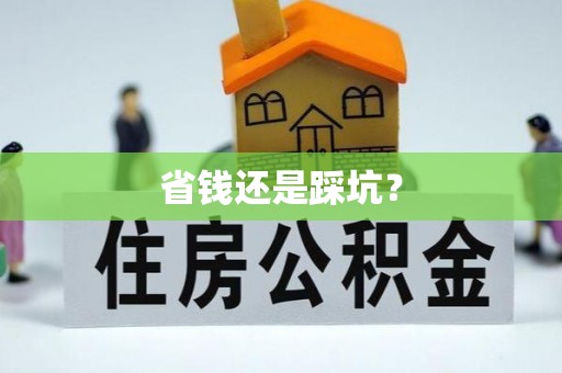 滴道省钱还是踩坑？