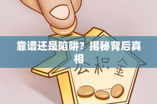 滴道靠谱还是陷阱？揭秘背后真相