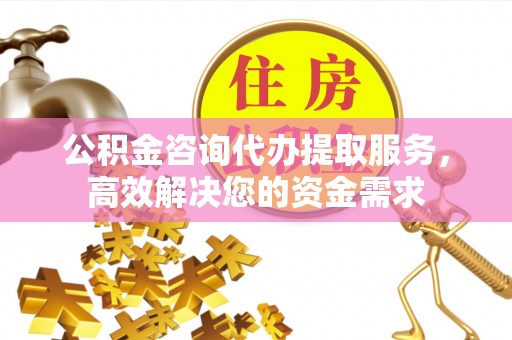 滴道公积金咨询代办提取服务，高效解决您的资金需求