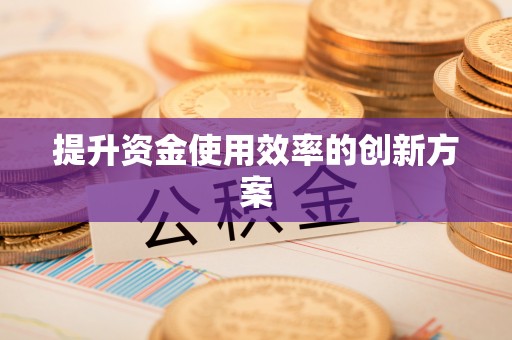 滴道提升资金使用效率的创新方案