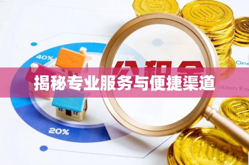 滴道揭秘专业服务与便捷渠道