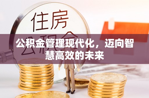 滴道公积金管理现代化，迈向智慧高效的未来