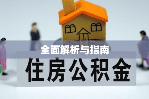 滴道全面解析与指南