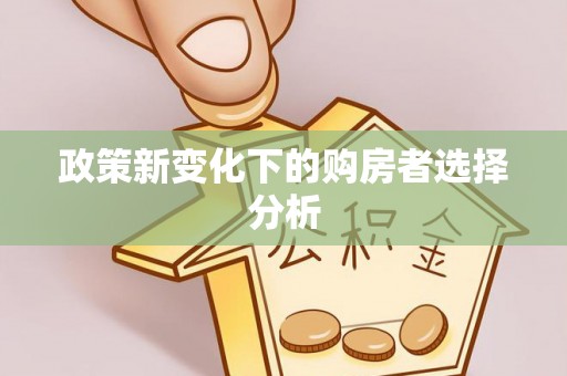 滴道政策新变化下的购房者选择分析