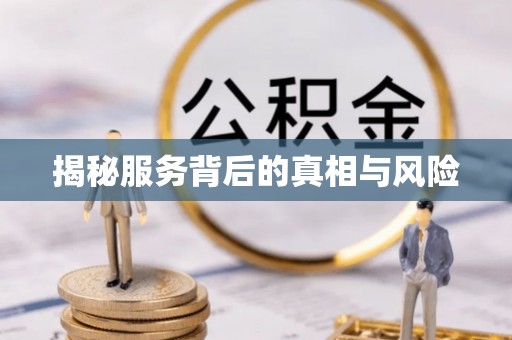 滴道揭秘服务背后的真相与风险