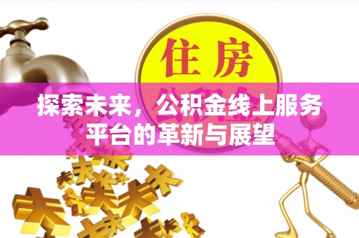 滴道探索未来，公积金线上服务平台的革新与展望