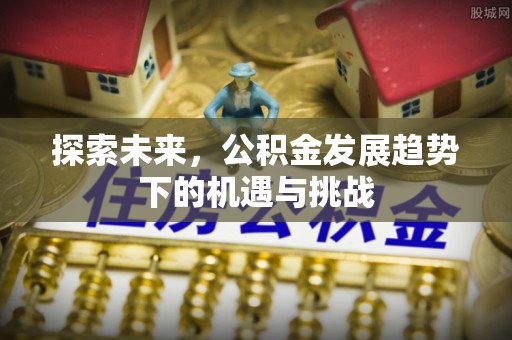 滴道探索未来，公积金发展趋势下的机遇与挑战