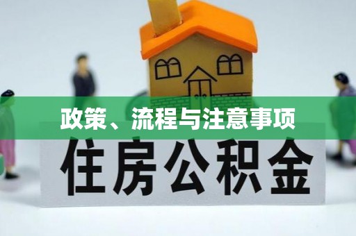 滴道政策、流程与注意事项