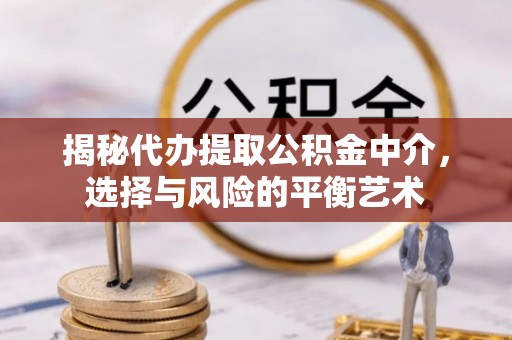 滴道揭秘代办提取公积金中介，选择与风险的平衡艺术