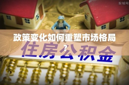 滴道政策变化如何重塑市场格局？