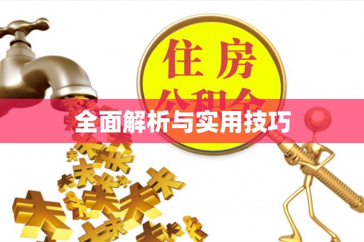 滴道全面解析与实用技巧