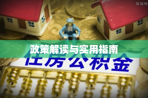 滴道政策解读与实用指南
