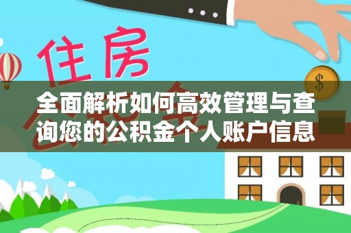 滴道全面解析如何高效管理与查询您的公积金个人账户信息
