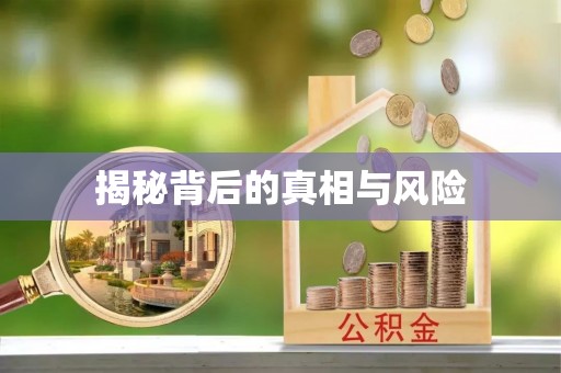 滴道揭秘背后的真相与风险