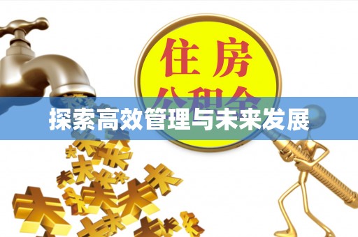 滴道探索高效管理与未来发展