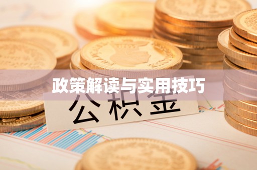 滴道政策解读与实用技巧