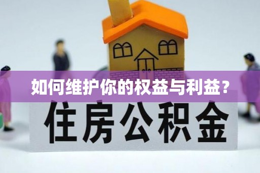 滴道如何维护你的权益与利益？