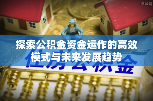 滴道探索公积金资金运作的高效模式与未来发展趋势