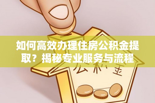 滴道如何高效办理住房公积金提取？揭秘专业服务与流程