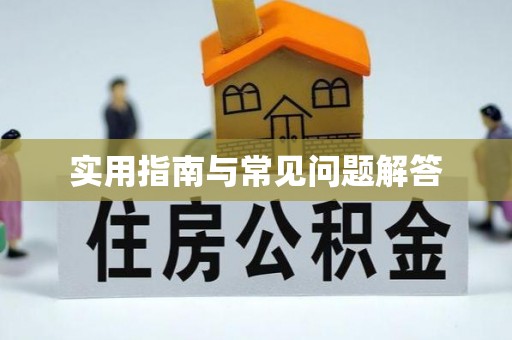 滴道实用指南与常见问题解答