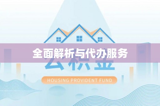 滴道全面解析与代办服务