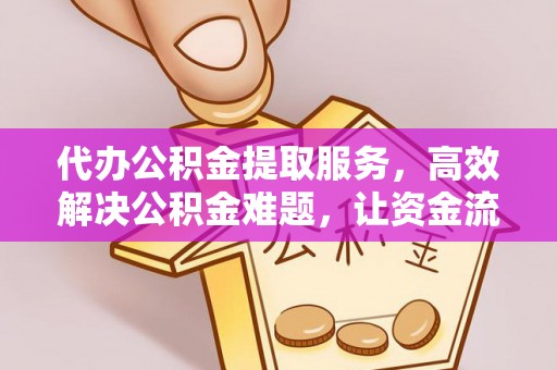 滴道代办公积金提取服务，高效解决公积金难题，让资金流动更自由