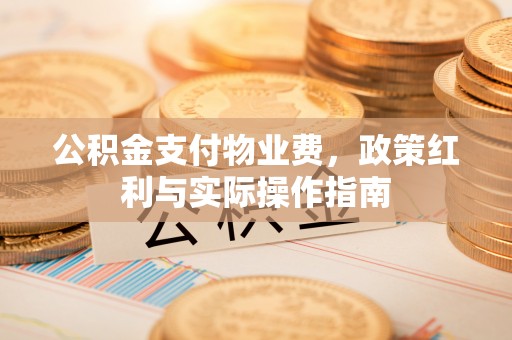 滴道公积金支付物业费，政策红利与实际操作指南