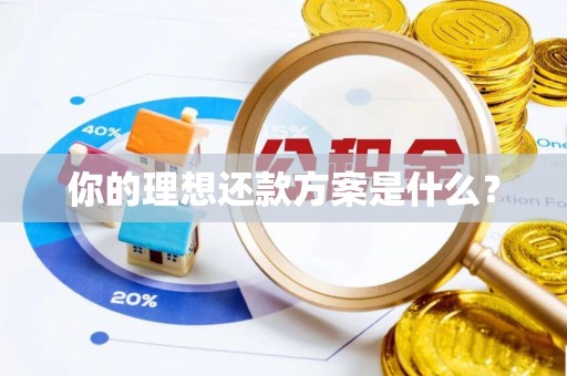 滴道你的理想还款方案是什么？