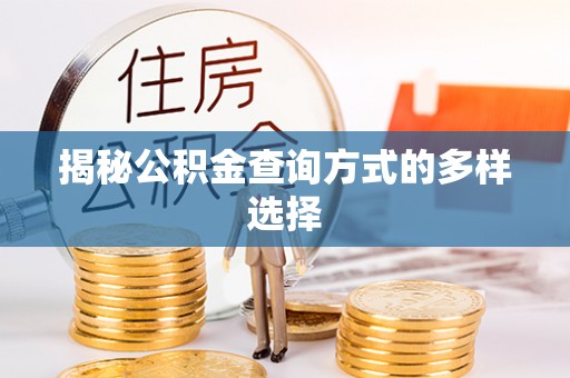 滴道揭秘公积金查询方式的多样选择