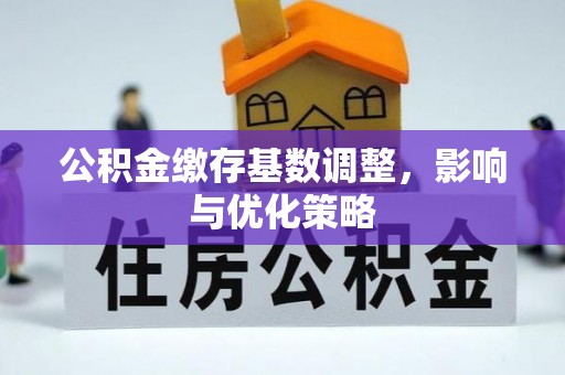 滴道公积金缴存基数调整，影响与优化策略