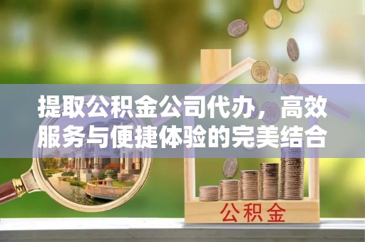 滴道提取公积金公司代办，高效服务与便捷体验的完美结合
