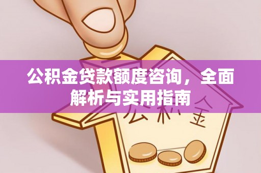 滴道公积金贷款额度咨询，全面解析与实用指南