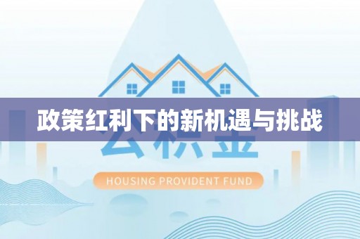 滴道政策红利下的新机遇与挑战