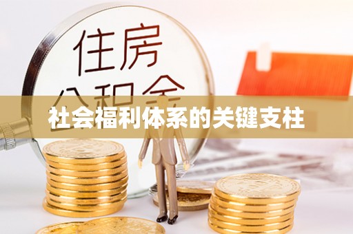 滴道社会福利体系的关键支柱