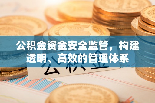 滴道公积金资金安全监管，构建透明、高效的管理体系