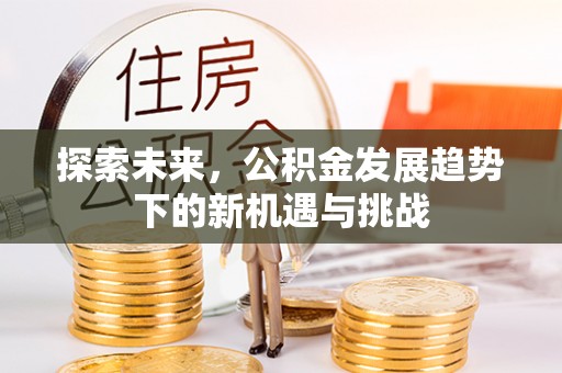 滴道探索未来，公积金发展趋势下的新机遇与挑战