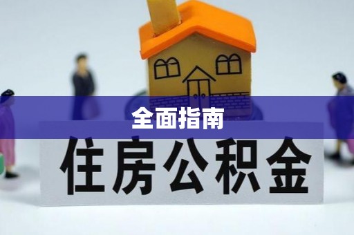 滴道全面指南