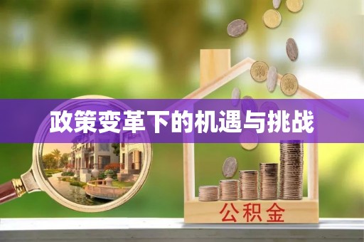 滴道政策变革下的机遇与挑战