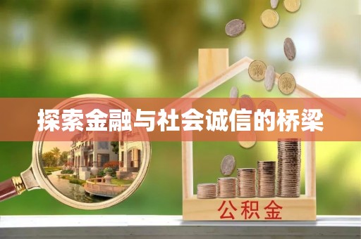 滴道探索金融与社会诚信的桥梁